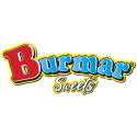 Burmar